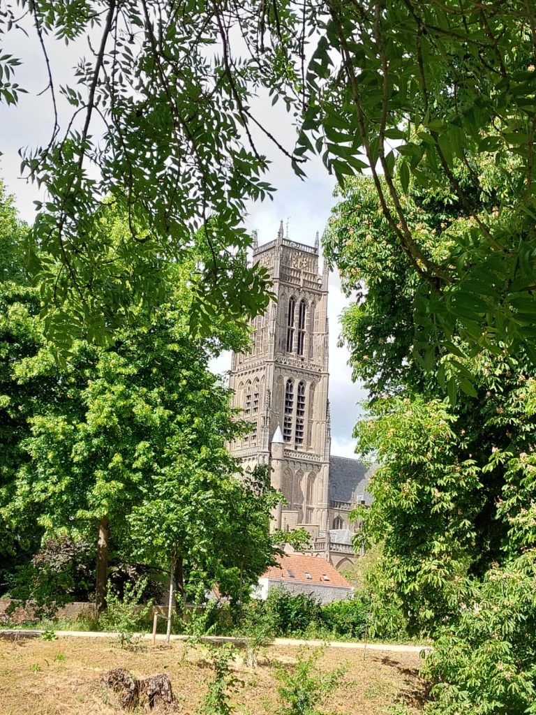 b32ccacb-d020-40ca-9bda-9fffb9718178